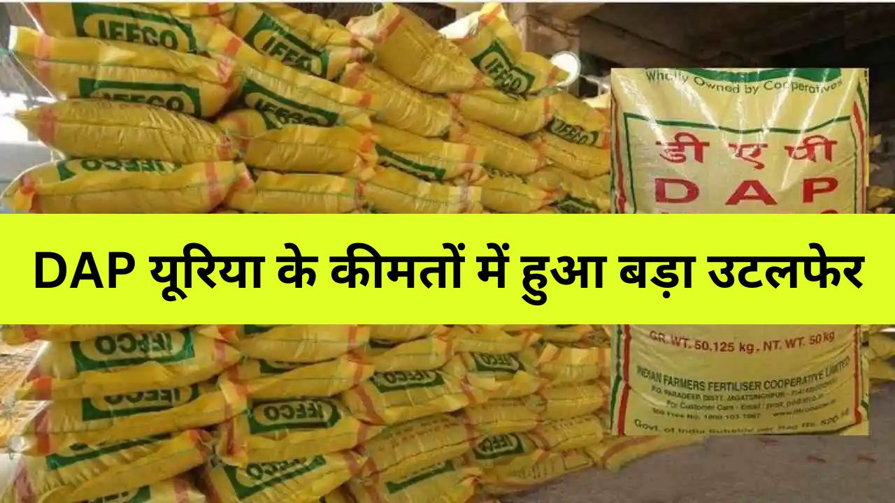 किसानों के खुशी से खिलेंगे चेहरे, DAP यूरिया के कीमतों में हुआ बड़ा उटलफेर, अब इतने में मिल रही एक बोरी