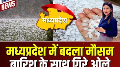 Mp Weather Today