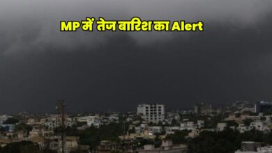 mp weather